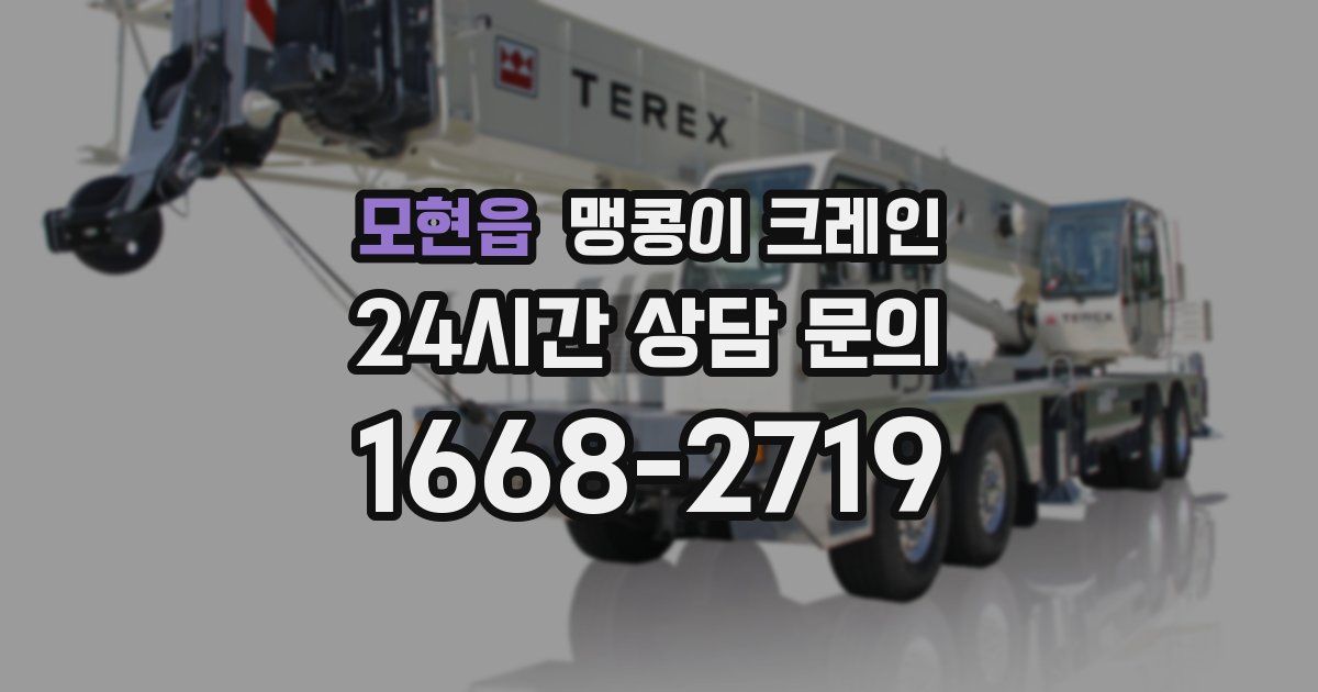 모현읍 맹콩이 크레인