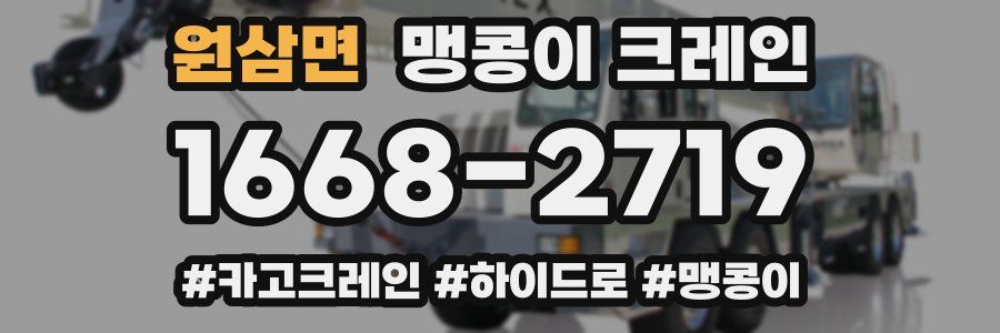 원삼면 맹콩이 크레인