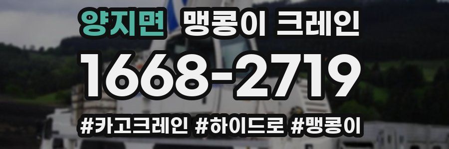 양지면 맹콩이 크레인