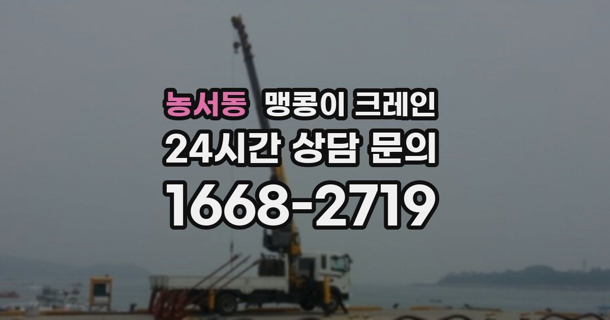 농서동 맹콩이 크레인