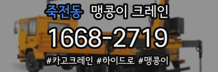 죽전동 맹콩이 크레인