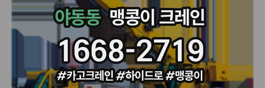 야동동 맹콩이 크레인