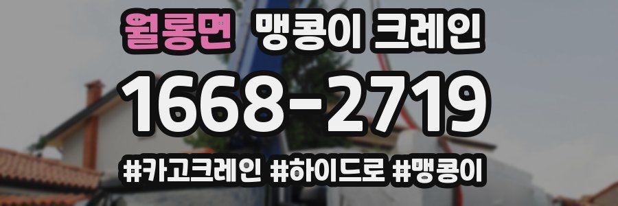 월롱면 맹콩이 크레인