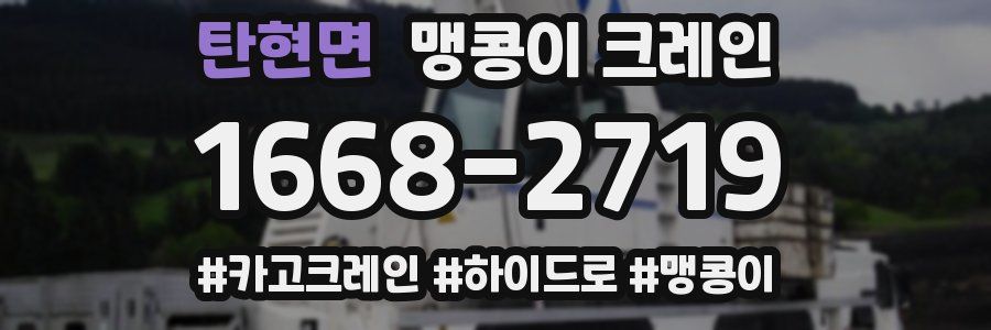 탄현면 맹콩이 크레인