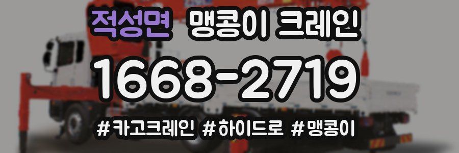 적성면 맹콩이 크레인