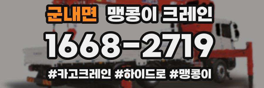 군내면 맹콩이 크레인