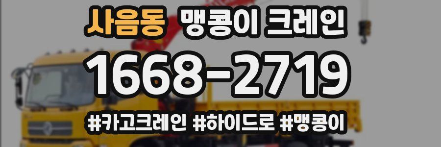 사음동 맹콩이 크레인