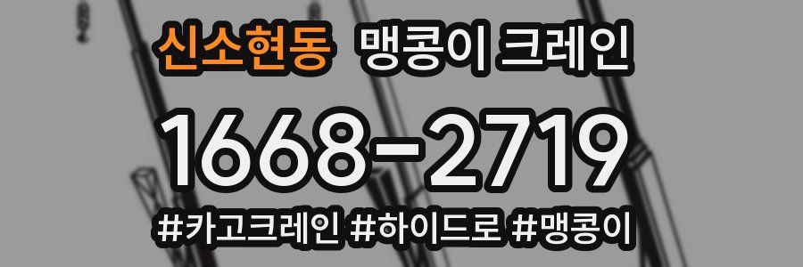 신소현동 맹콩이 크레인