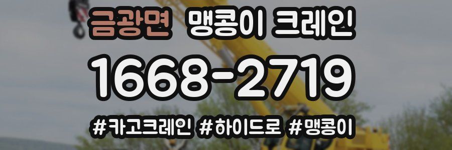 금광면 맹콩이 크레인