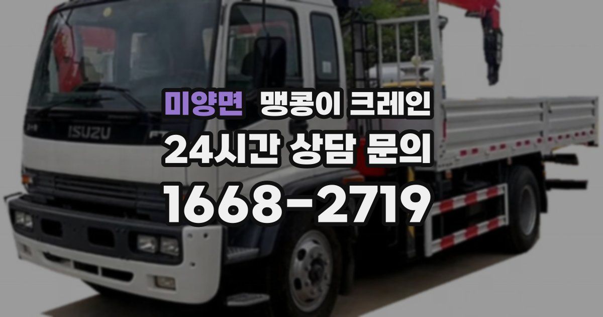 미양면 맹콩이 크레인