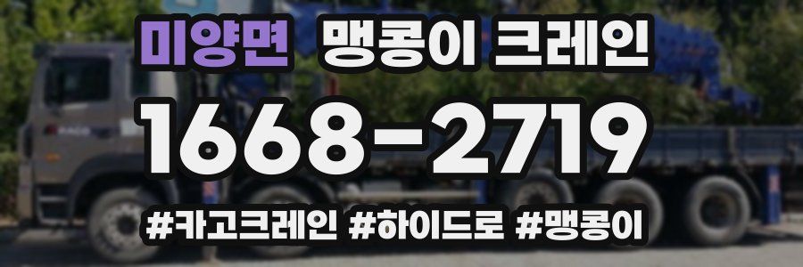 미양면 맹콩이 크레인