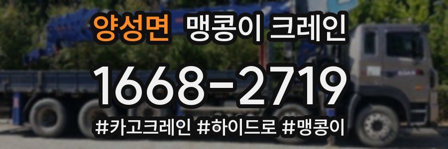 양성면 맹콩이 크레인