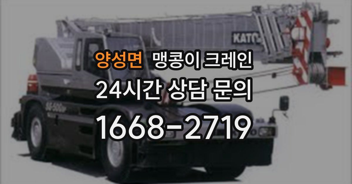 양성면 맹콩이 크레인