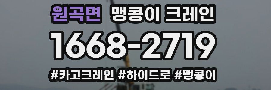 원곡면 맹콩이 크레인