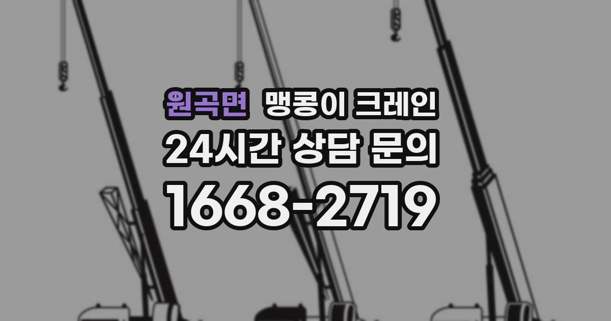 원곡면 맹콩이 크레인