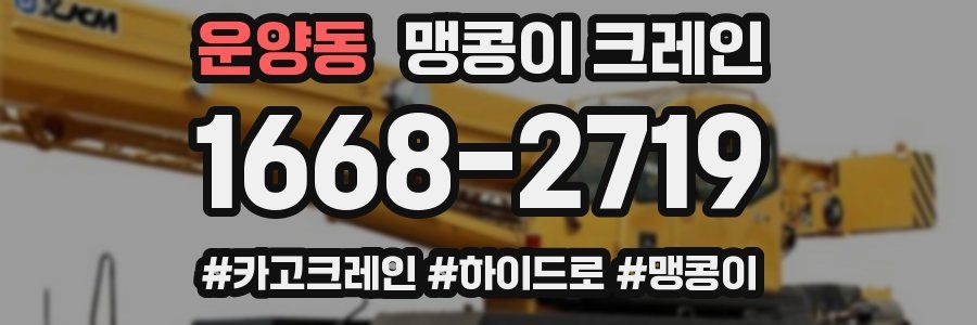 운양동 맹콩이 크레인