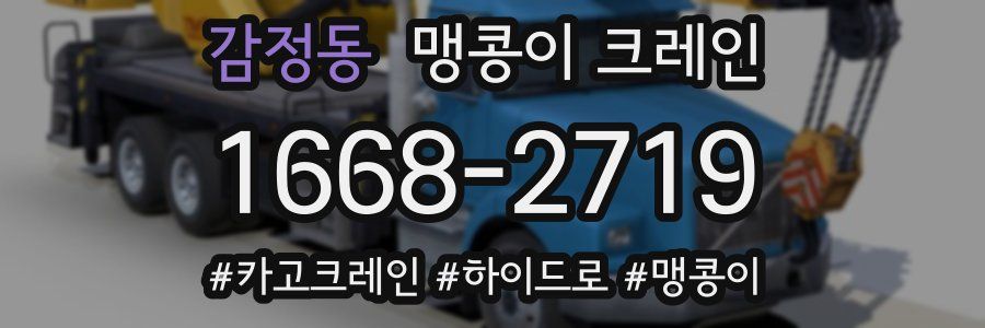 감정동 맹콩이 크레인