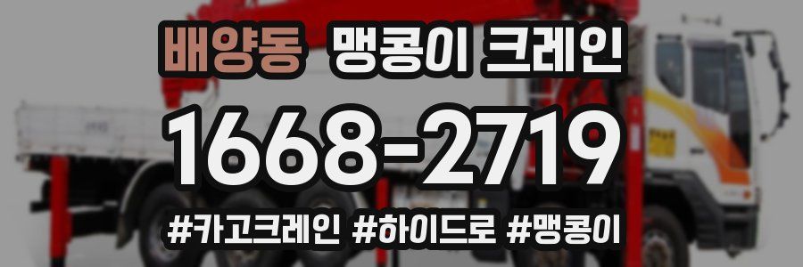배양동 맹콩이 크레인