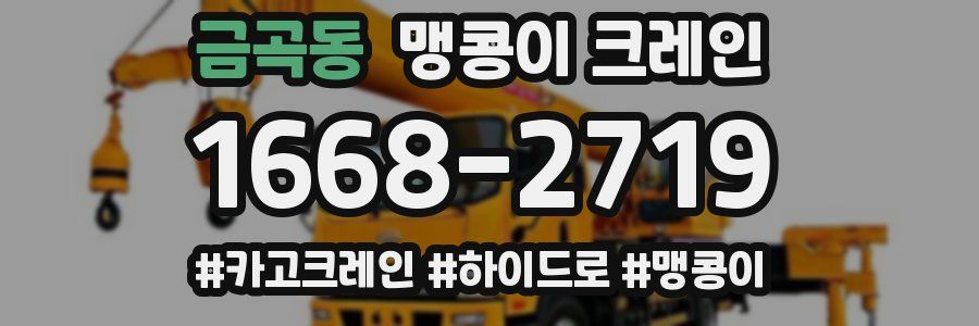 금곡동 맹콩이 크레인