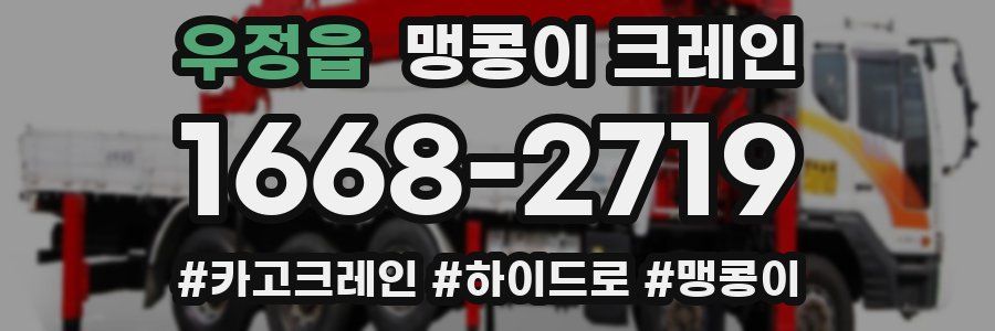 우정읍 맹콩이 크레인