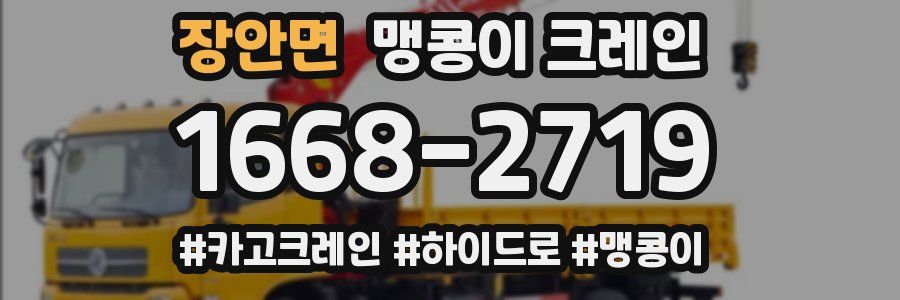 장안면 맹콩이 크레인