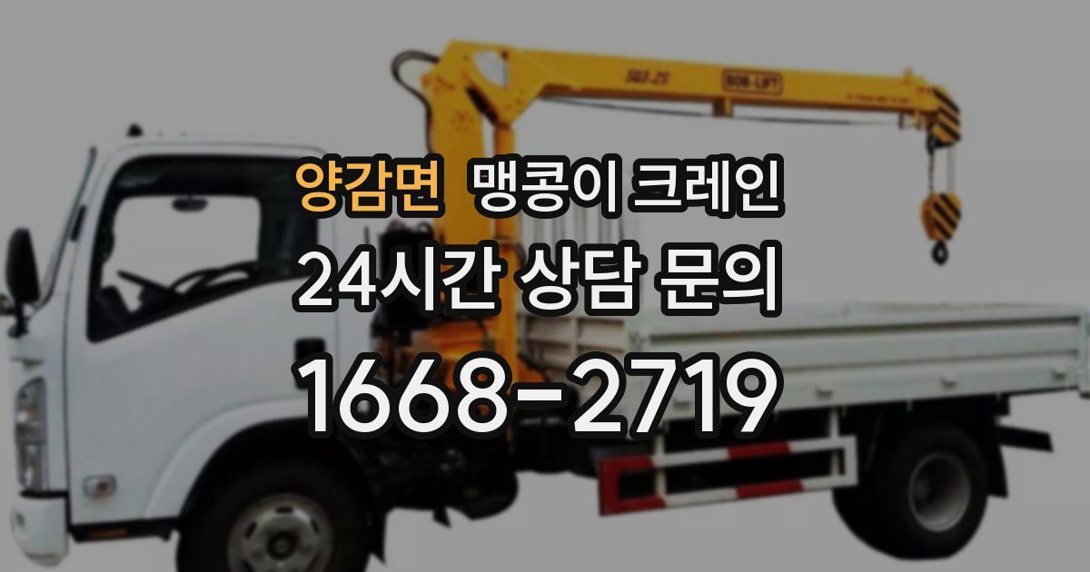 양감면 맹콩이 크레인