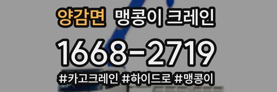 양감면 맹콩이 크레인