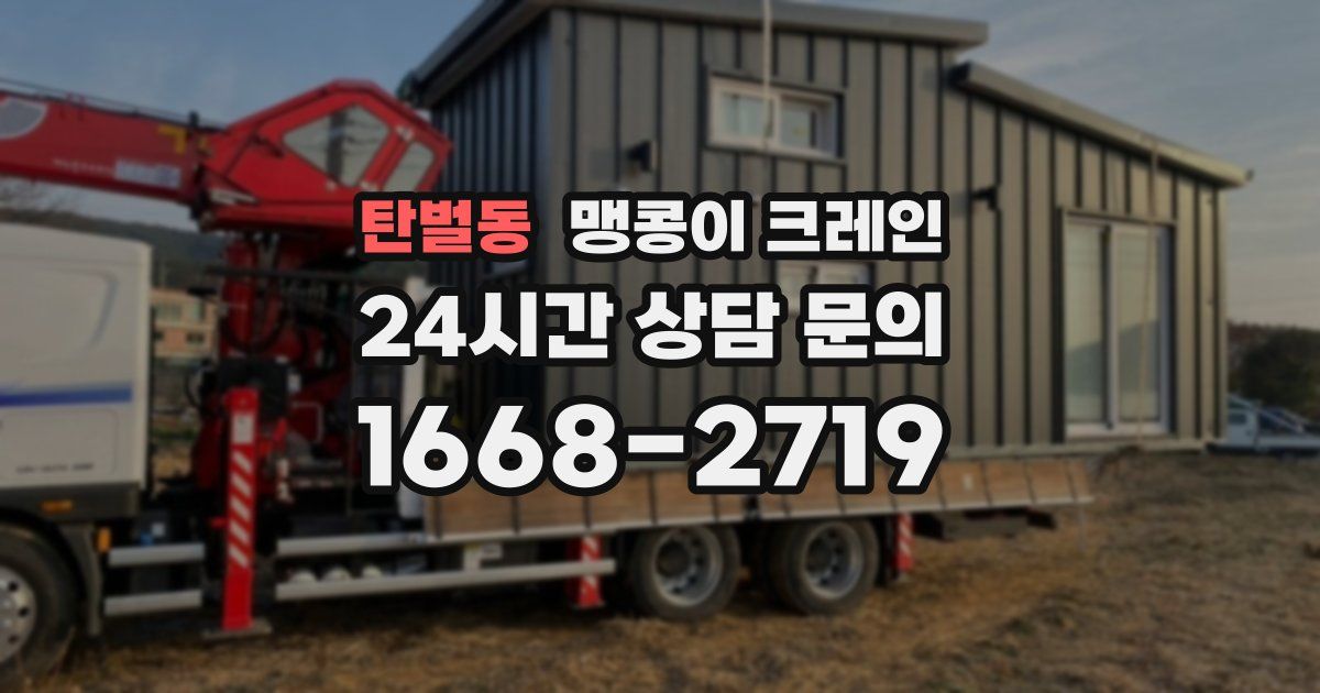 탄벌동 맹콩이 크레인