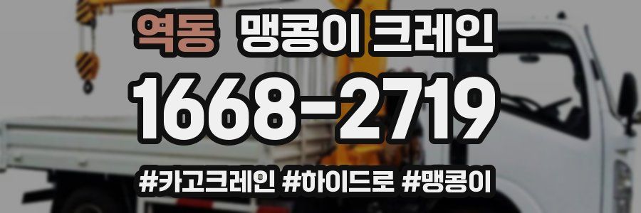 역동 맹콩이 크레인