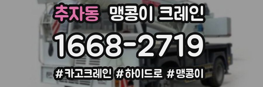 추자동 맹콩이 크레인