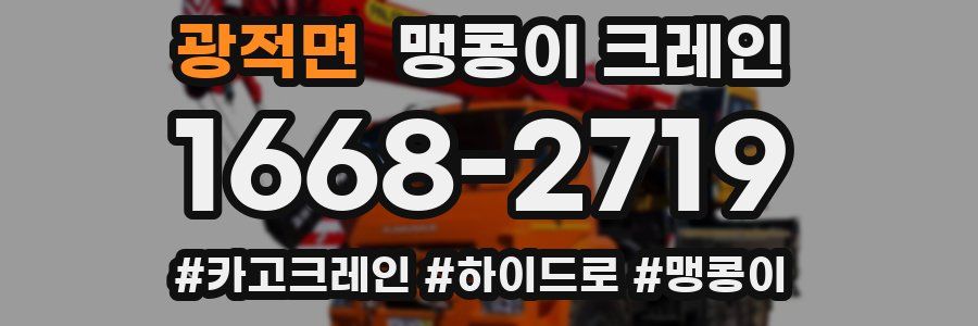 광적면 맹콩이 크레인