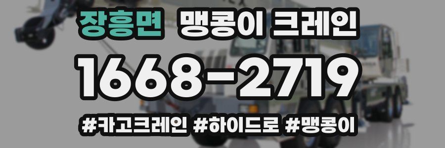 장흥면 맹콩이 크레인