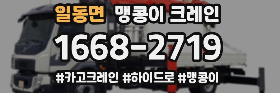 일동면 맹콩이 크레인