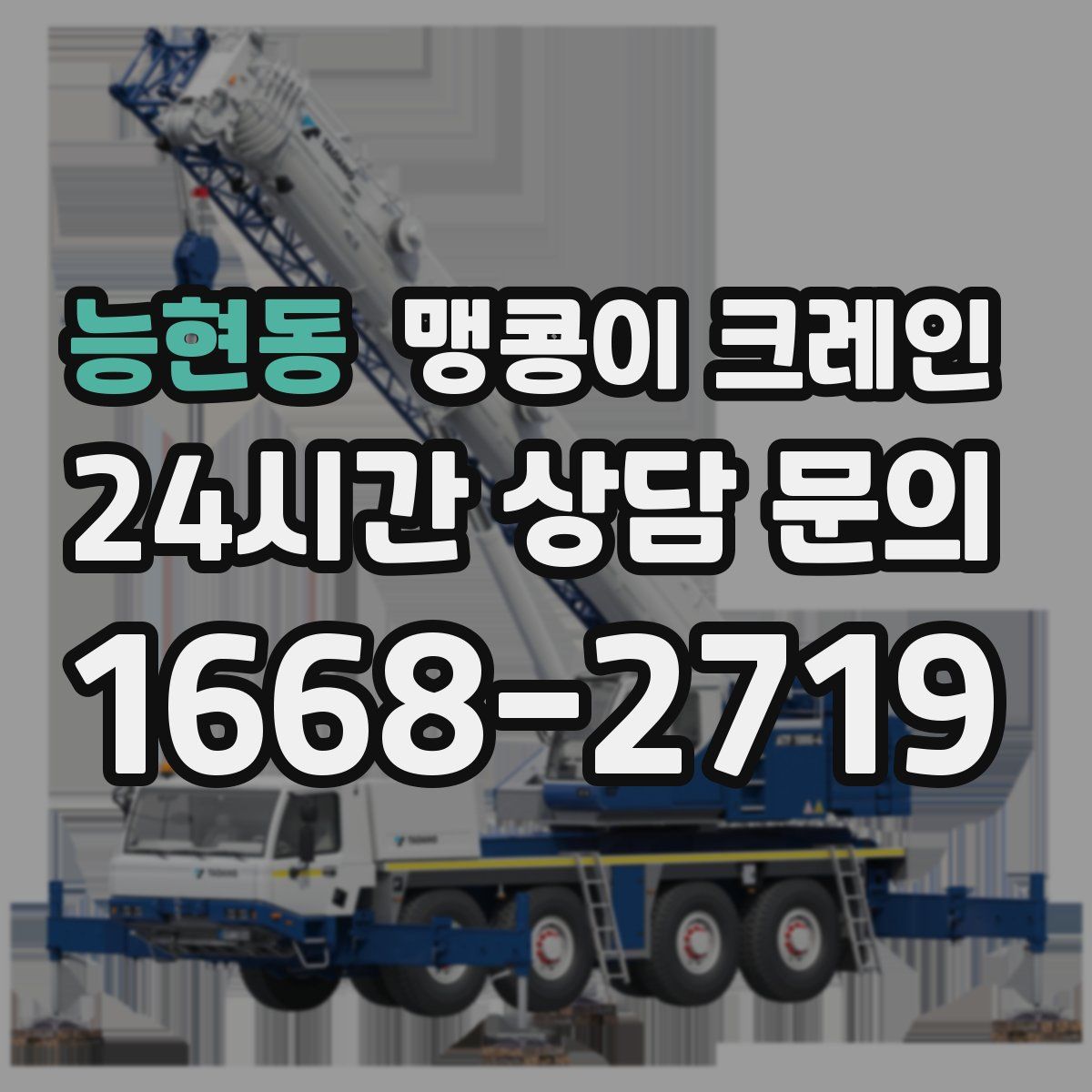 능현동 맹콩이 크레인