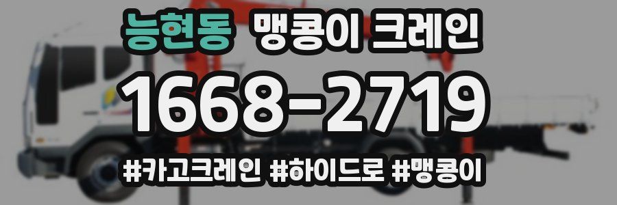 능현동 맹콩이 크레인