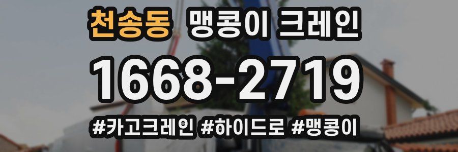 천송동 맹콩이 크레인