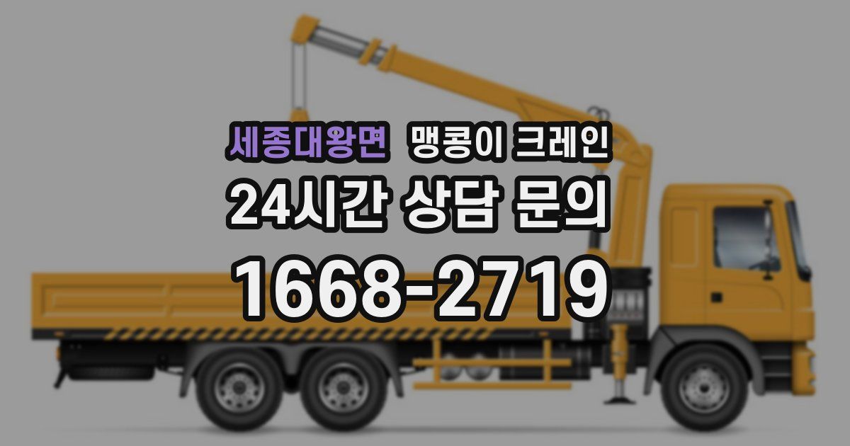 세종대왕면 맹콩이 크레인