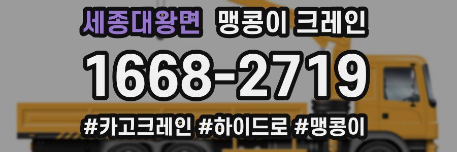 세종대왕면 맹콩이 크레인