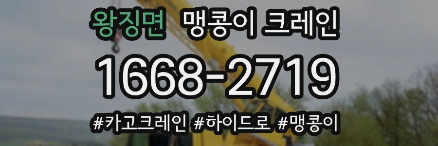 왕징면 맹콩이 크레인