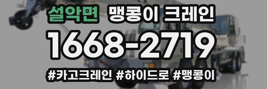 설악면 맹콩이 크레인