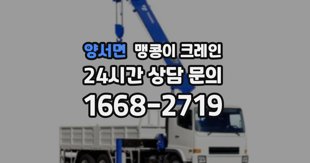 양서면 맹콩이 크레인