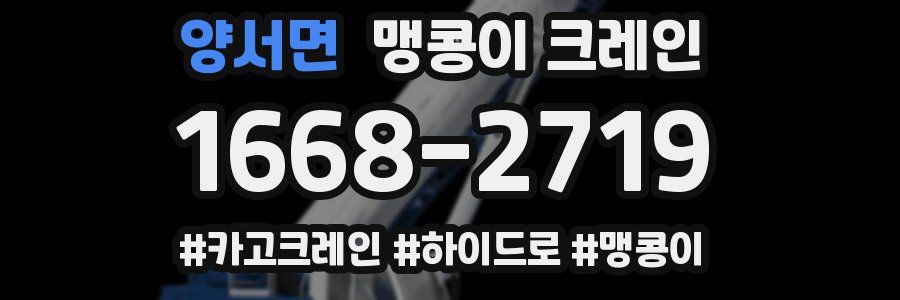 양서면 맹콩이 크레인