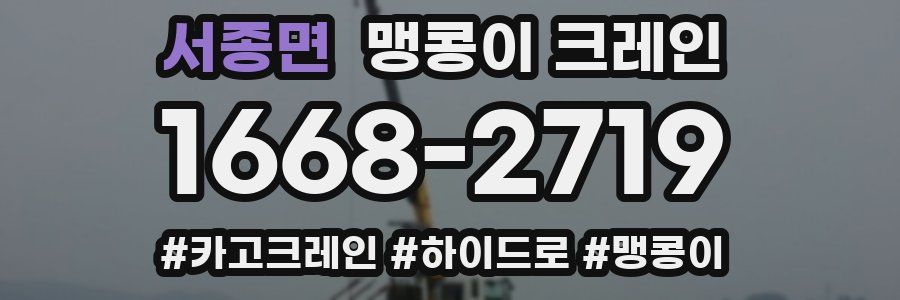 서종면 맹콩이 크레인