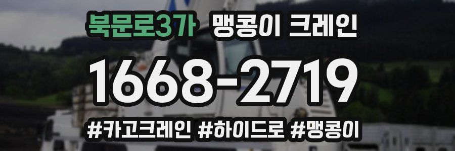 북문로3가 맹콩이 크레인