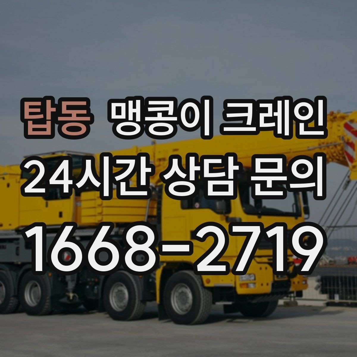 탑동 맹콩이 크레인 설치 자리 선정이 중요한 이유