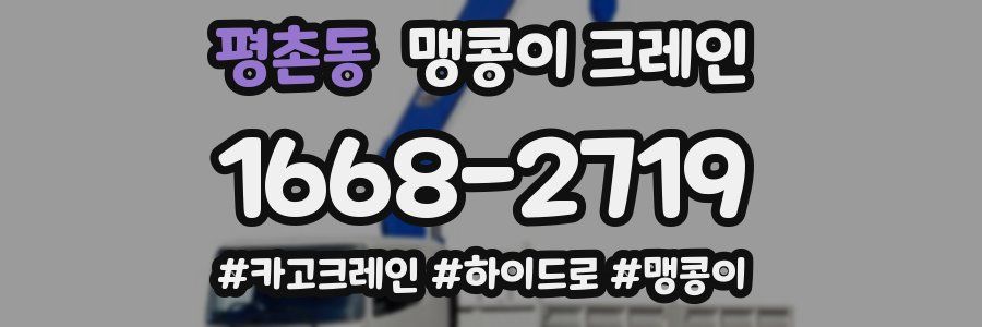 평촌동 맹콩이 크레인
