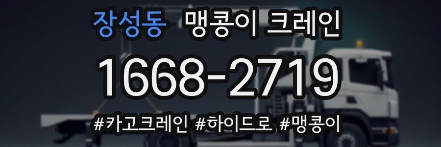 장성동 맹콩이 크레인