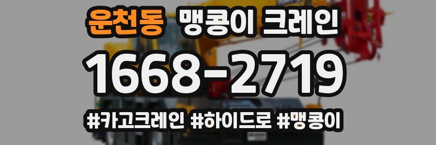 운천동 맹콩이 크레인
