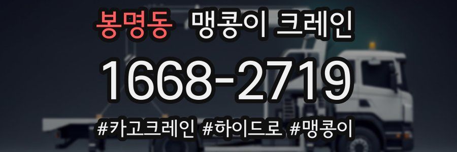 봉명동 맹콩이 크레인