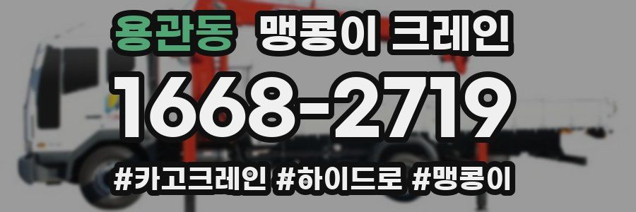 용관동 맹콩이 크레인